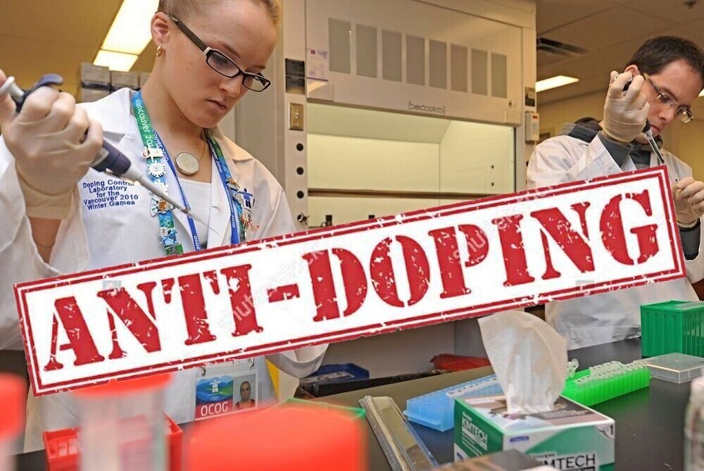 Организована аттестация Организована аттестация